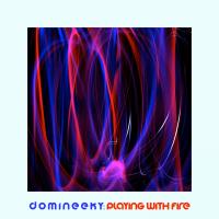 Artwork for Playing With Fire (Collectors Edition) by Domineeky