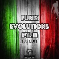 Artwork for Funk Evolutions, Pt. 11 by Tj Edit