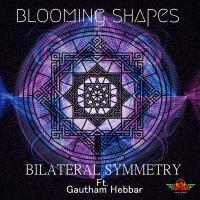 Artwork for Bilateral Symmetry by Blooming Shapes