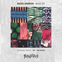 Artwork for Rise EP by Bassel Darwish