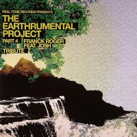 Artwork for The Earthrumental Project Part 4 by Franck Roger