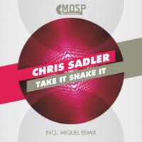 Artwork for Take It Shake It by Chris Sadler