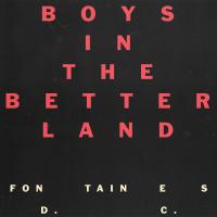Artwork for Boys in the Better Land by Fontaines D.C.