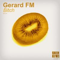 Artwork for Bitch by Gerard FM