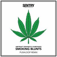 Artwork for Smoking Blunts (Pushloop Remix) by Abstrakt Sonance