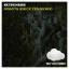 Artwork for Robots (Erick Zen Remix)