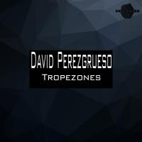 Artwork for Tropezones by David Perezgrueso