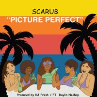 Artwork for Picture Perfect (feat. Daylin Neohop) by Scarub