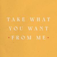 Artwork for Take What You Want From Me by True Strays