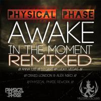 Artwork for Awake In The Moment (Remixes) by Physical Phase