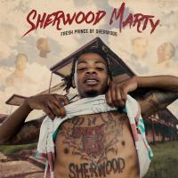 Artwork for Fresh Prince of Sherwood by Sherwood Marty