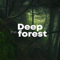 Artwork for Deep In The Forest by Nature Sounds Nature Music