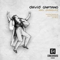 Artwork for Any Pleasure by David Caetano