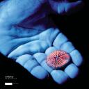 Artwork for See You Soon