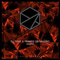 Artwork for Gasira by DJ Dove