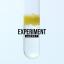 Artwork for Experiment (Radio Edit)