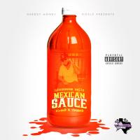 Artwork for Mexican Sauce by Microwave Rollie