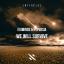 Artwork for We Will Survive (Original Mix)
