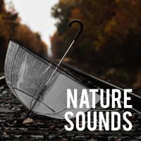 Artwork for Nature Sounds by Nature Sounds Nature Music