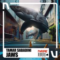 Artwork for Jaws by Tamar Sabadini