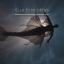 Artwork for Ella es mi sirena