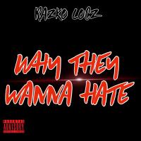 Artwork for Why They Wanna Hate by Razko Locz