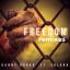 Artwork for Freedom (Sound Sketch Remix)