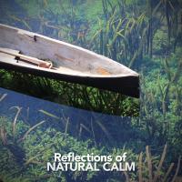 Artwork for Reflections of Natural Calm by Sounds of Nature Relaxation