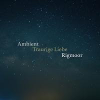 Artwork for Traurige Liebe by Rigmoor