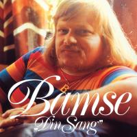 Artwork for Din Sang by Flemming Bamse Jørgensen