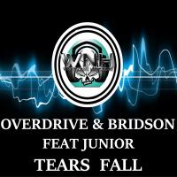 Artwork for Tears Fall by Overdrive