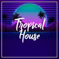 Artwork for Tropical House by Ibiza Deep House Lounge