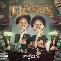 Artwork for Twin Stories by Mula Gang