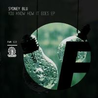 Artwork for You Know How It Goes by Sydney Blu