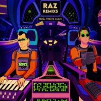 Artwork for Yahel Tribute Album (Raz Remixes) by Raz