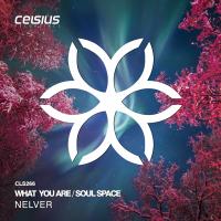 Artwork for What You Are / Soul Space by Nelver