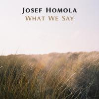 Artwork for What We Say by Josef Homola