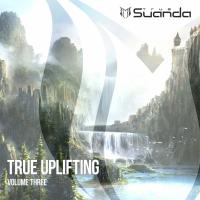 Artwork for True Uplifting, Vol. 3 by Various Artists