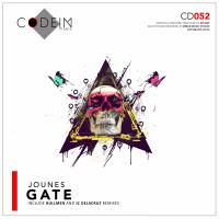 Artwork for Gate by Jounes