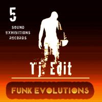 Artwork for Funk Evolutions #5 by Tj Edit