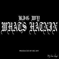 Artwork for Whats Hatnin by Big Wy