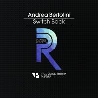 Artwork for Switch Back by Andrea Bertolini