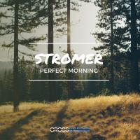 Artwork for Perfect Morning by Stromer