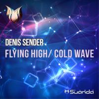 Artwork for Flying High / Cold Wave by Denis Sender