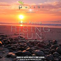 Artwork for Rising Sun by Bart Panco