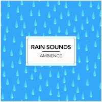 Artwork for Rain Sounds Ambience by Rain Sounds