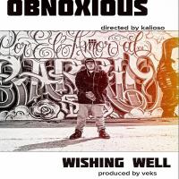 Artwork for Wishing Well by Obnoxious