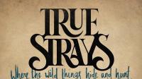Artwork for Where The Wild Things Hide And Hunt by True Strays