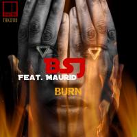 Artwork for Burn by BSJ