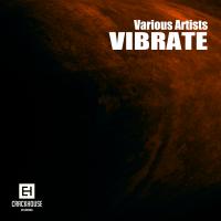 Artwork for Vibrate by Various Artists